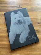 lasergravur-soest.de