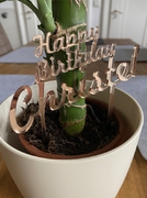 lasergravur-soest.de